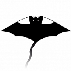 Litlle Bat
